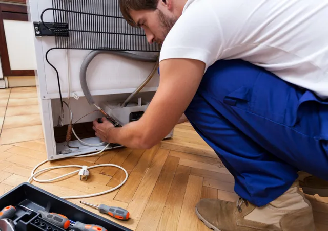 Fridge And Refrigerator Repair Specialists In Abu Dhabi